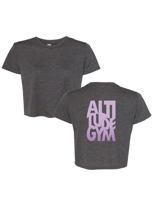 Altitude Crop top